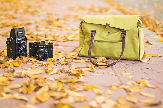 taška, listí, fotoaparát